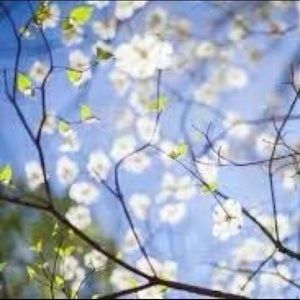 Meet your Posher, Yanfeng